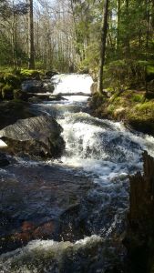 11173664_10153966544108868_1046447535_n