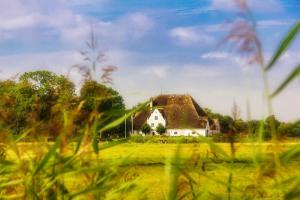 12144656_1177716005576323_9111241764603857133_n