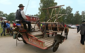 En Arvika självbindare dras av ett trespann hästar. Ett föl går