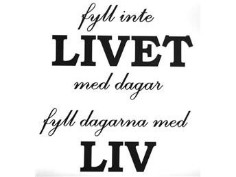 1494064666175-1787329112