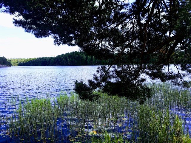 IMG_20170810_221708_722